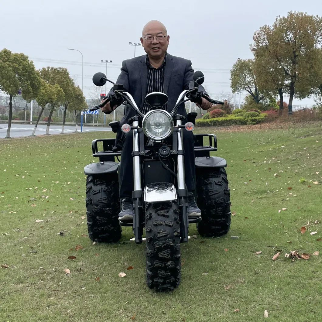 All Terrain Electric Scooter 3 Wheel Motorcycle for Mutilated