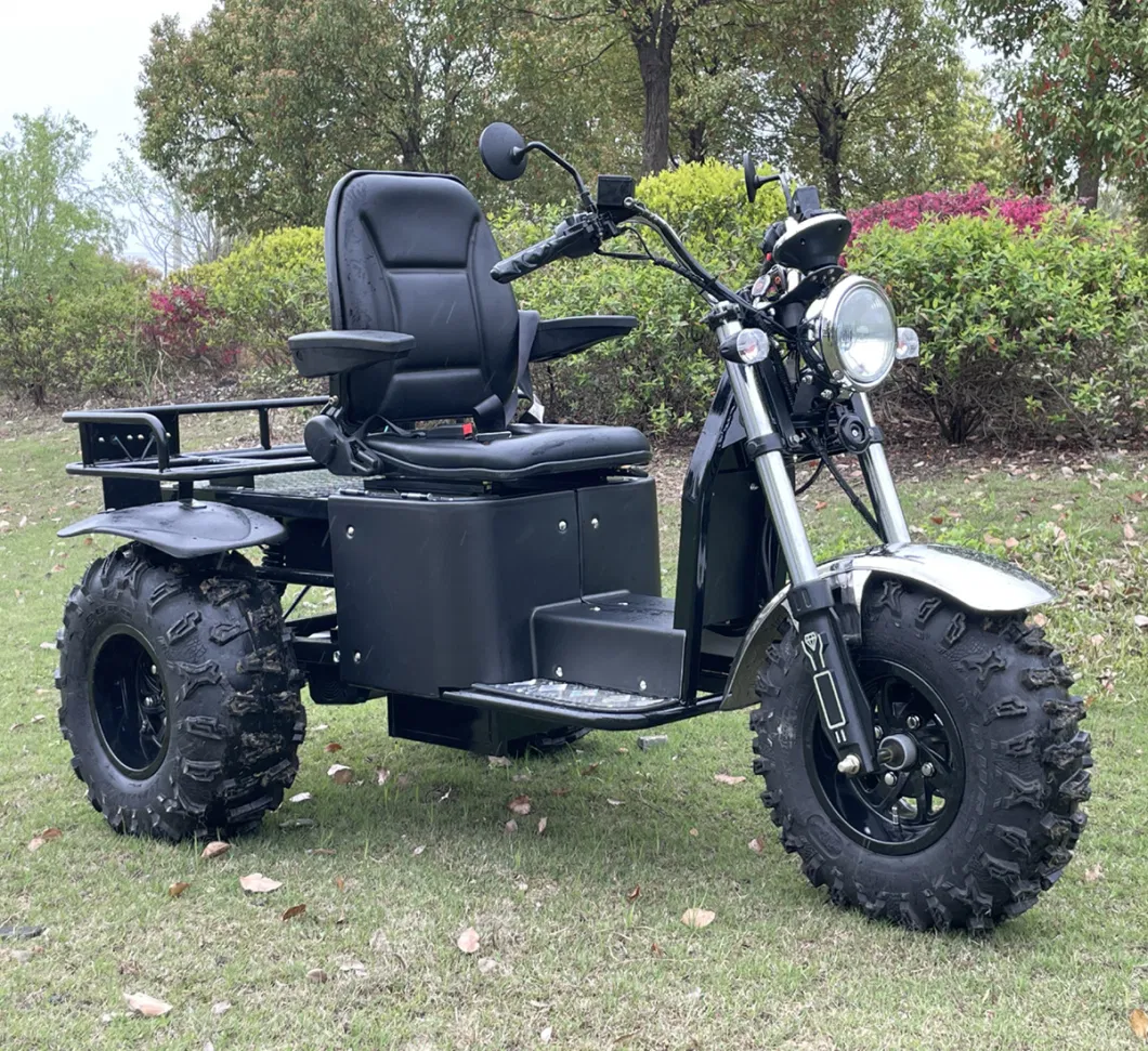 All Terrain Electric Scooter 3 Wheel Motorcycle for Mutilated