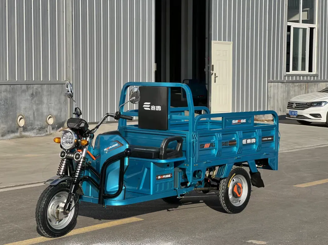 48V60V Cargo Tricycle with EEC Coc Europe and Asia Best-Selling Electric Tricycle for Farmer Adults with Lead-Acid Battery and Rechargeable