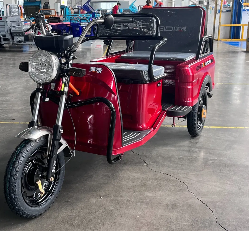 Best Price 3-Wheel E-Bike for Sale in The Philippines