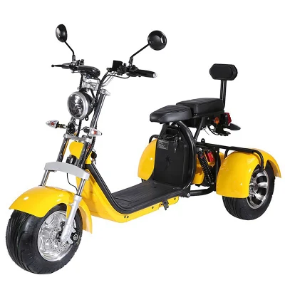 2023 Cityco scooter elettrico triciclo scooter elettrico per adulti motocicletta elettrica Bicicletta