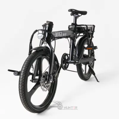 Bicicletta elettrica triciclo di migliore qualità