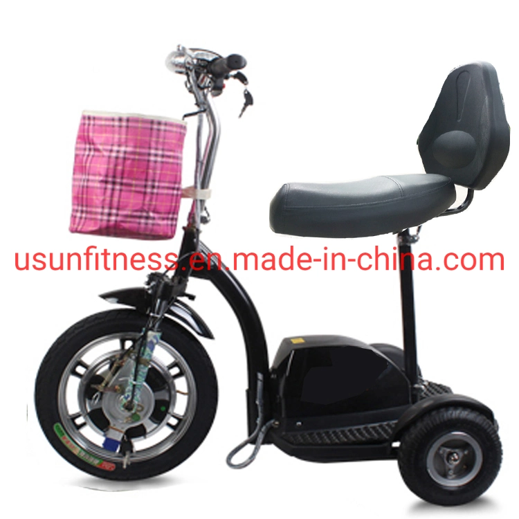 Black Color Electric Bike with 3 Wheels