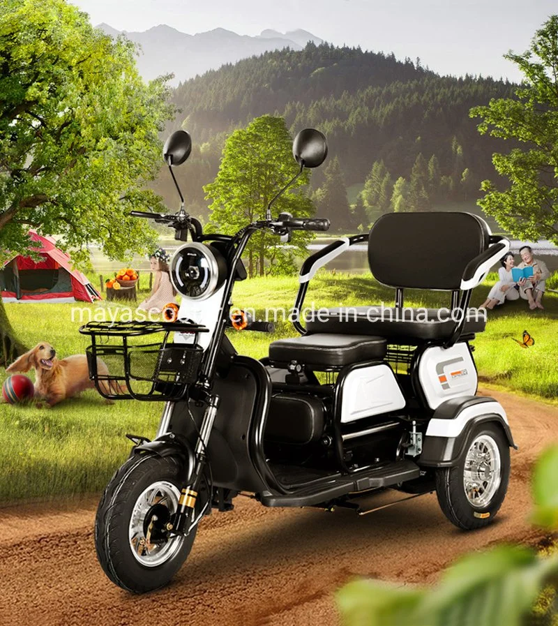 2024 Cheap Best Electric Tricycle for Passenger and Cargo