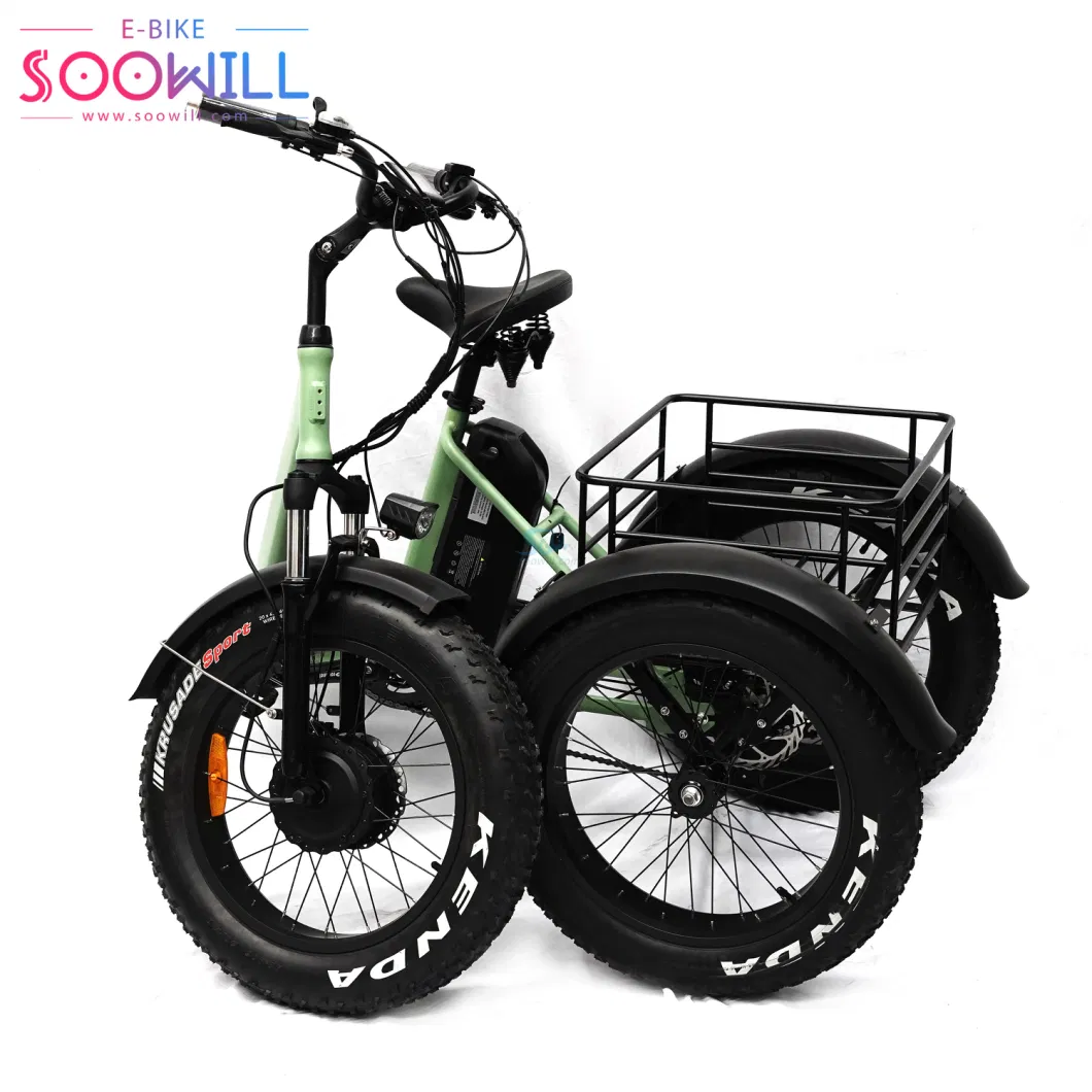 Pedal Assistant Tricycle 25km/H Fat Tire 60km Range Electric Tricycle