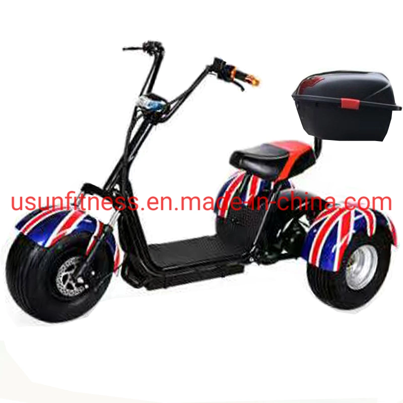 3 Wheels Fat Tire City Coco Electric Scooter E Scooter Motor Bike with CE