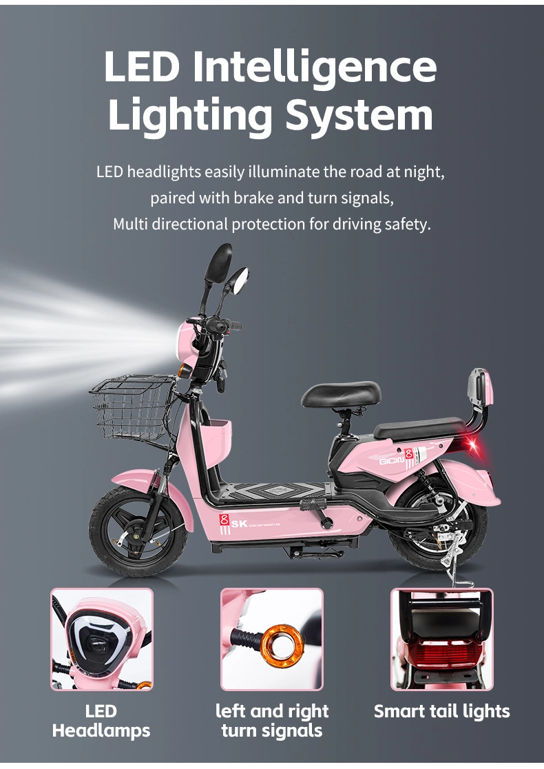 Electric Bicycle 350W 48V Adult Electric City Bike Lead-Acid Battery Two-Wheeled Electric Scooter