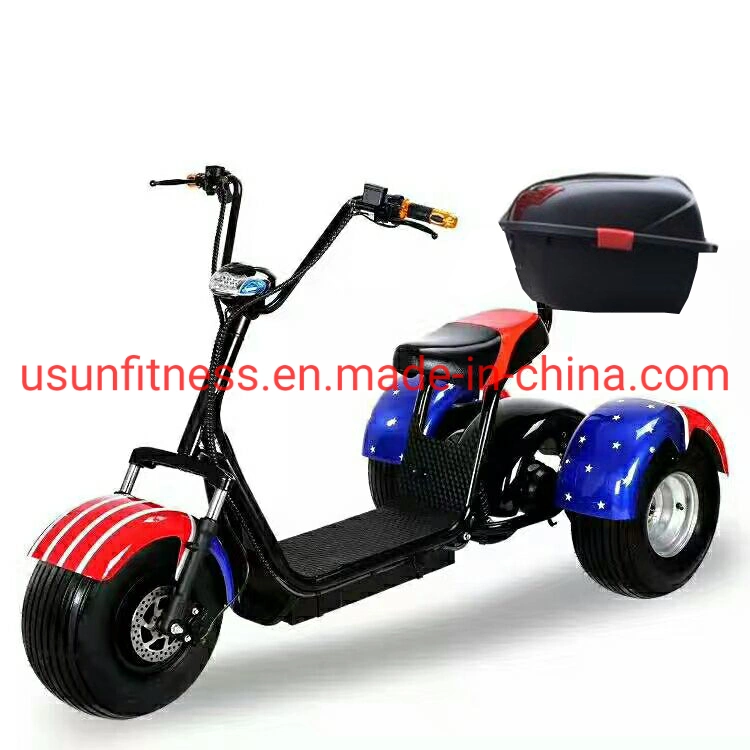 3 Wheels Fat Tire City Coco Electric Scooter E Scooter Motor Bike with CE