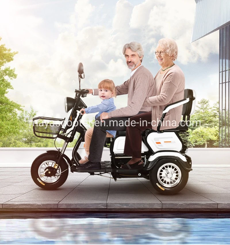 2024 Cheap Best Electric Tricycle for Passenger and Cargo