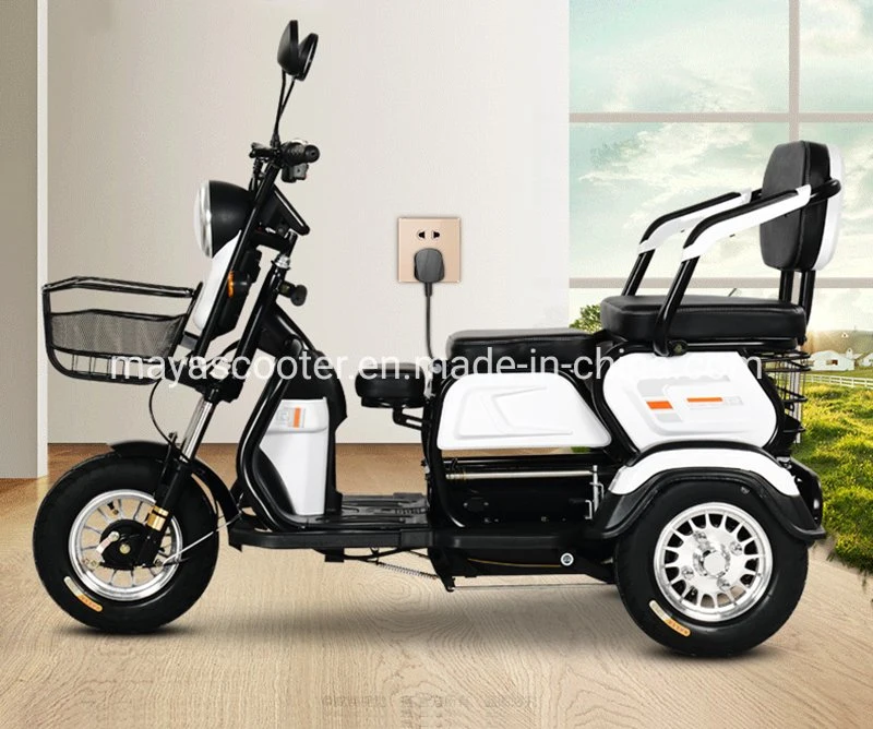 2024 Cheap Best Electric Tricycle for Passenger and Cargo