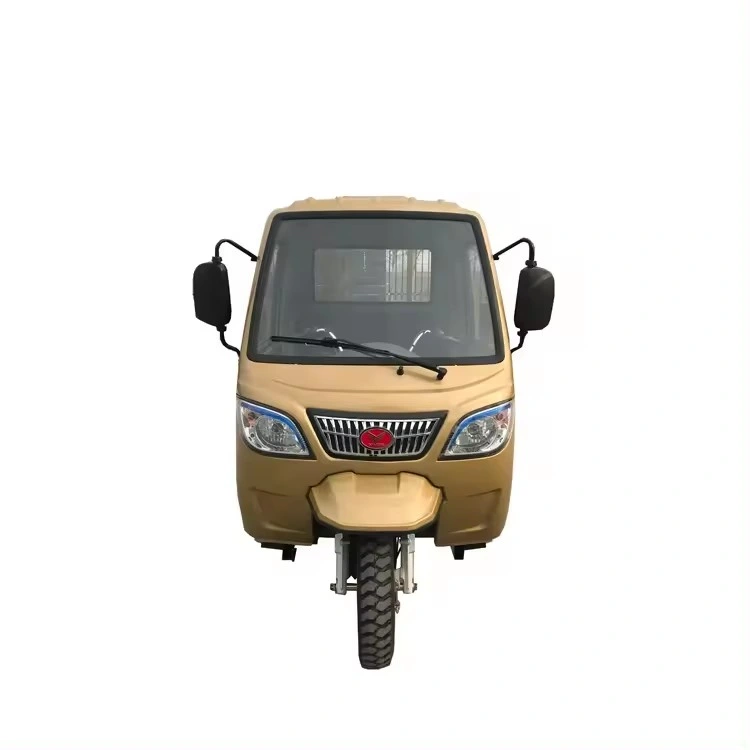 Electric Cargo Vehicle Tricycle Electric Rickshaw Cargo Tricycle Motorized Tricycle Trike Motorcycle