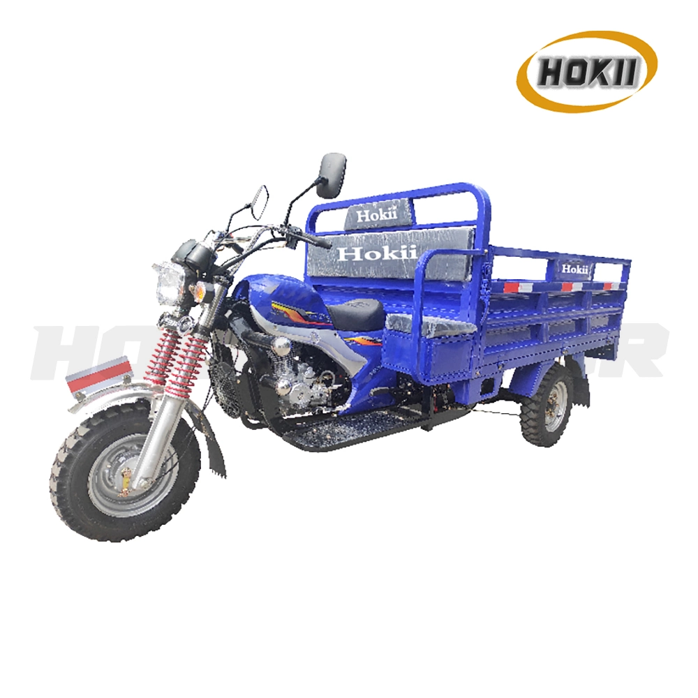 China Hokii Manufacturer Produced Hot Sale Model 150cc Gasoline Engine Cargo Tricycle Heavy Load