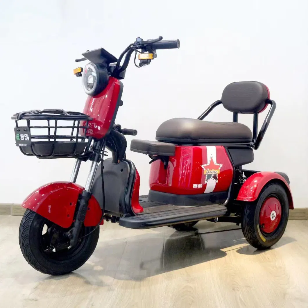 Saige Brand EEC Adult 3 Wheel Light Electric Bicycle Tricycle for Disabled People Electric Trike Passenger Tricycle Electric Truck