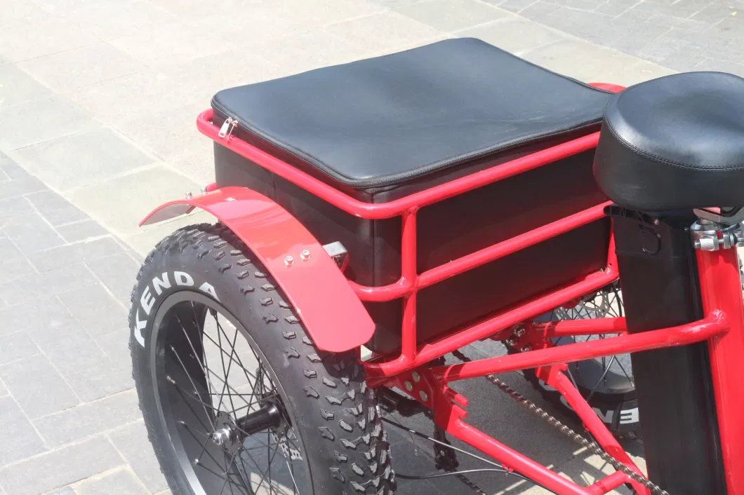 Economical Affordable Electric Cargo Bike with LCD Display Lithium Battery Electric Tricycle