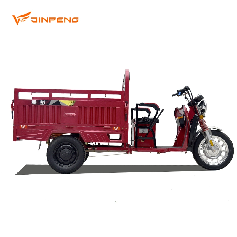 Best Price Adult Trike Electric Farming Tricycle Hot Selling