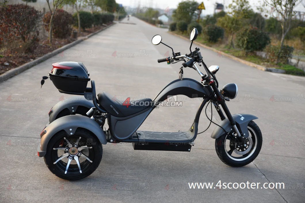 EEC 4000W 5000W Dual Match Citycoco Chopper Trike Scooter Three Wheel Electric Motorcycle