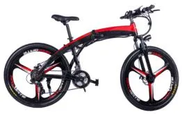 Electric Mountain Bike Bicycle Motrocycle E-Bike E-Bicycle Electric Tricycle System Duild in Detachable Battery 36V 250W Motor