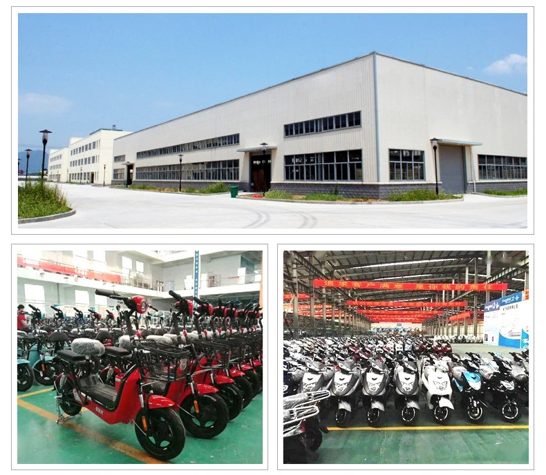 2023 Two-Wheeled Electric Bicycle Moped Adult Pedal Battery Car Scooter Cross-Border Foreign Trade Export Factory