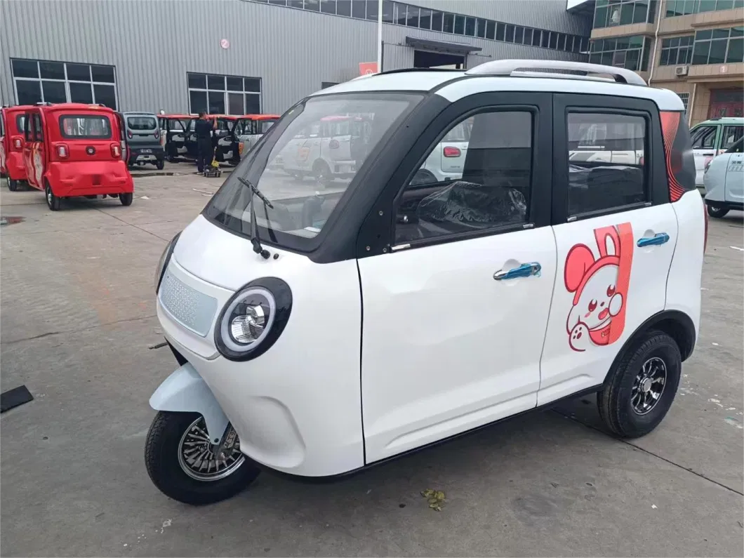 800W/1000W New Closed Adult Electric Passenger, Cargo, Three Wheels, Richshaw, Motor, Petrol, Motorized, Electric Trike, Vehicle, Bicycle, Motorbike, Tricycle