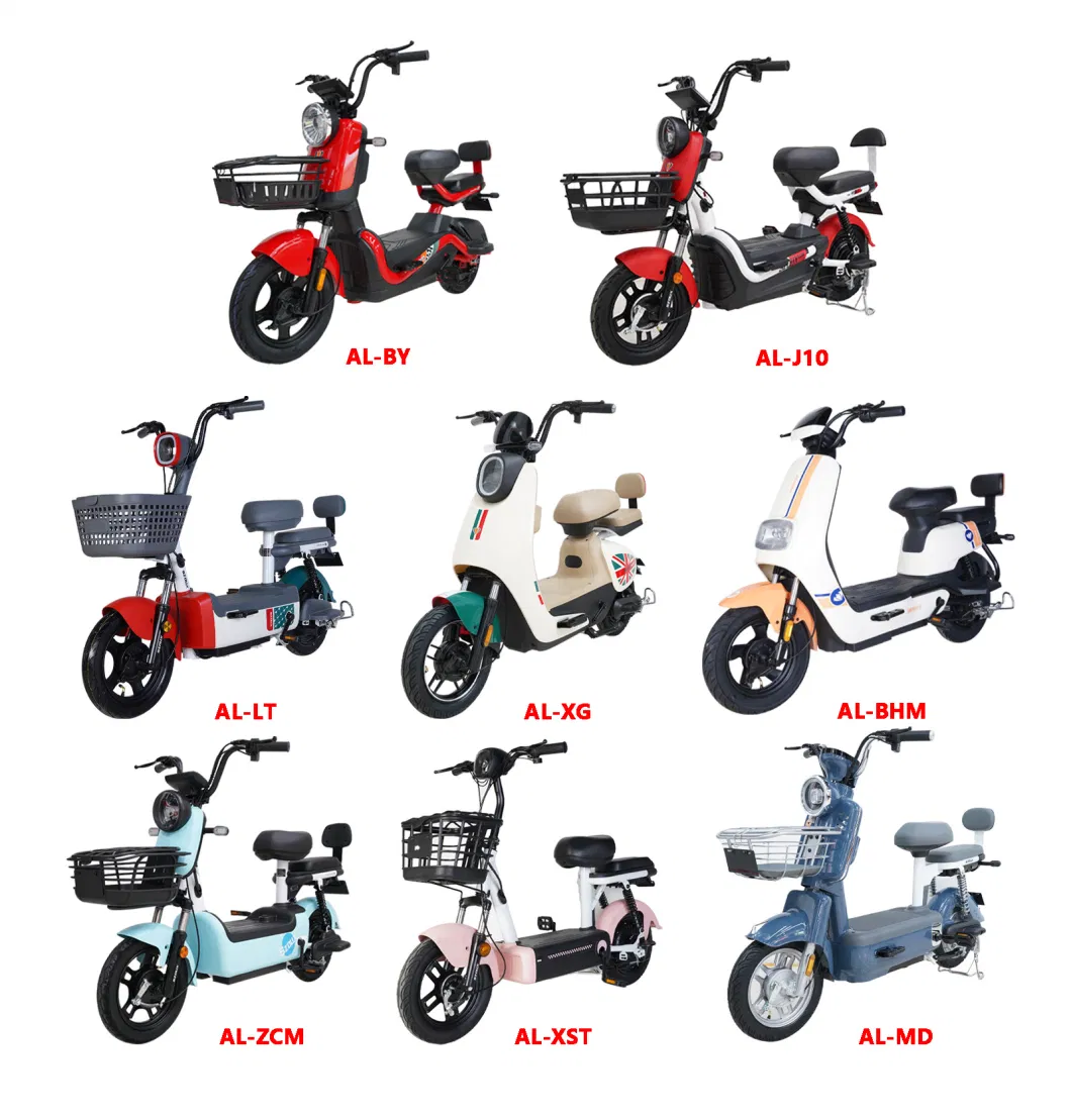 The Newest Electric Tricycle for Cargo and Passenger with Best Price of China Manufacturer