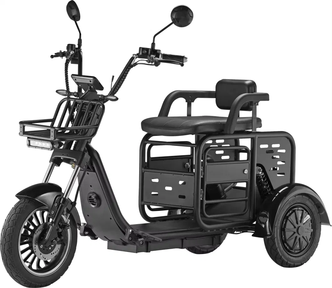 Lq1 Novel Design Fat Tire Three Wheel Adult Electric Scooter Tricycles with Back Seat