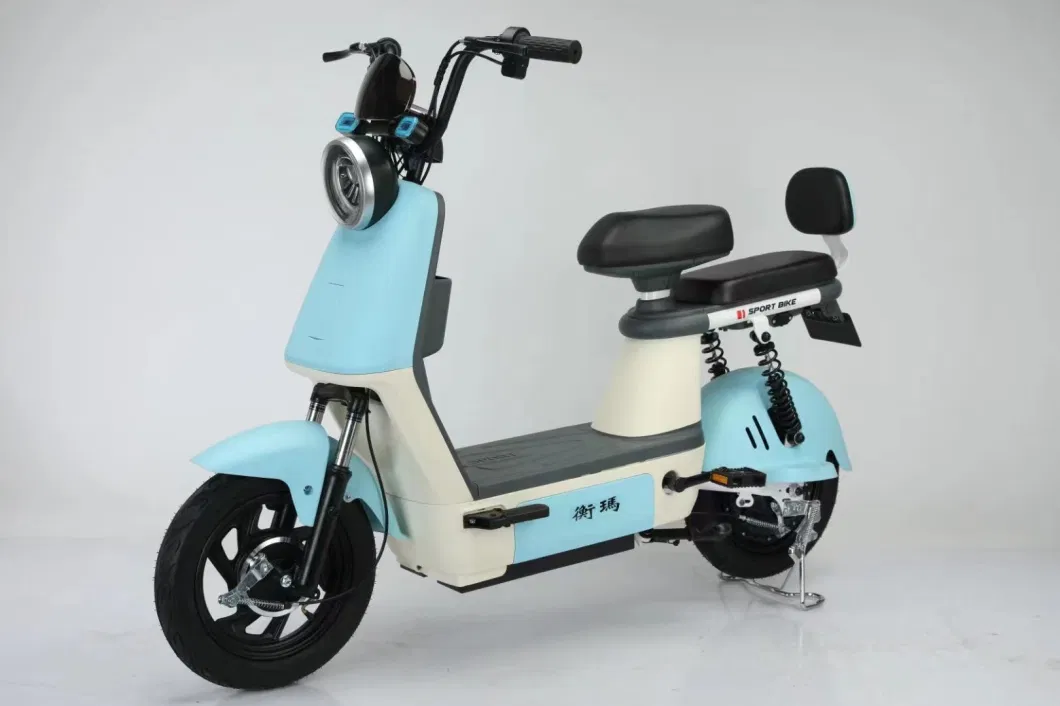 The Latest Electric Bike/Adult Two Wheeled Electric Scooter