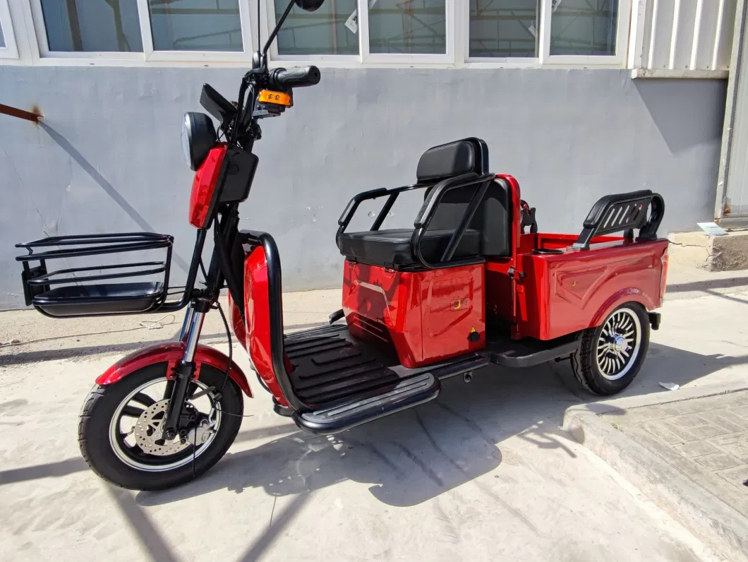 Best Offer EEC Coc Electric Tricycle with Foldable Seat Box for Passenger Elders for Europe