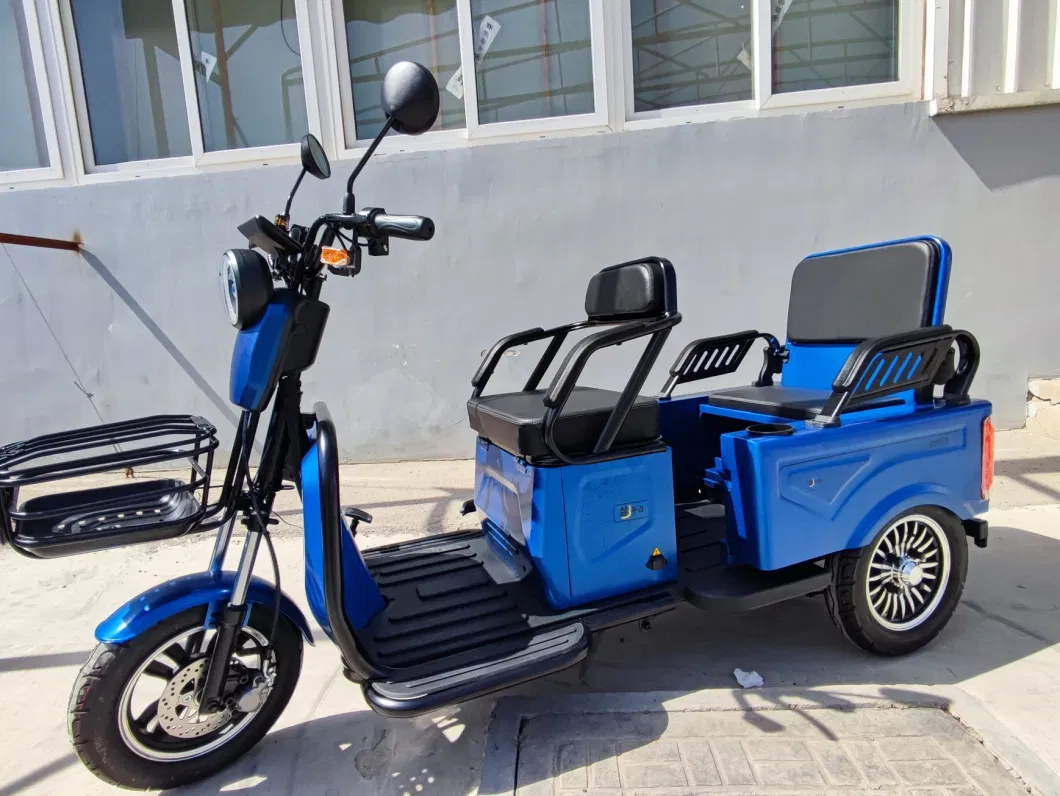 Best Offer EEC Coc Electric Tricycle with Foldable Seat Box for Passenger Elders for Europe