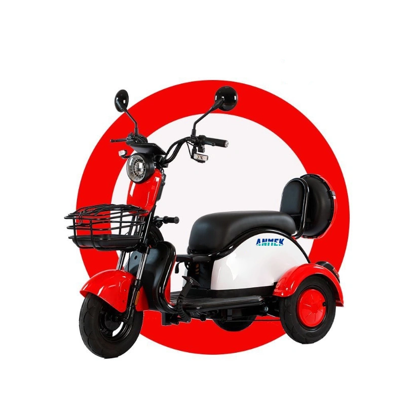 Electric Tricycles Bike 3 Coffee for Kids Double Seats 750W Fat Tyre Wheels Wheel Adult E-Bike Cargo Touring Fruit Tricycle