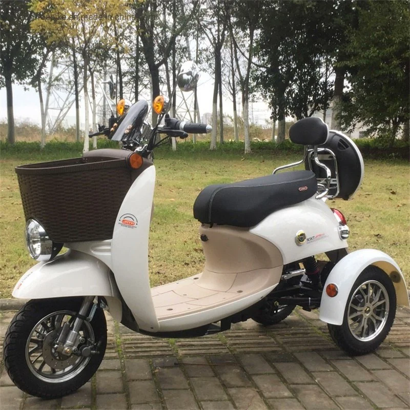 Wuxi Stanford 3 Wheel Electric Tricycle Adult Xg with Basket for Sale