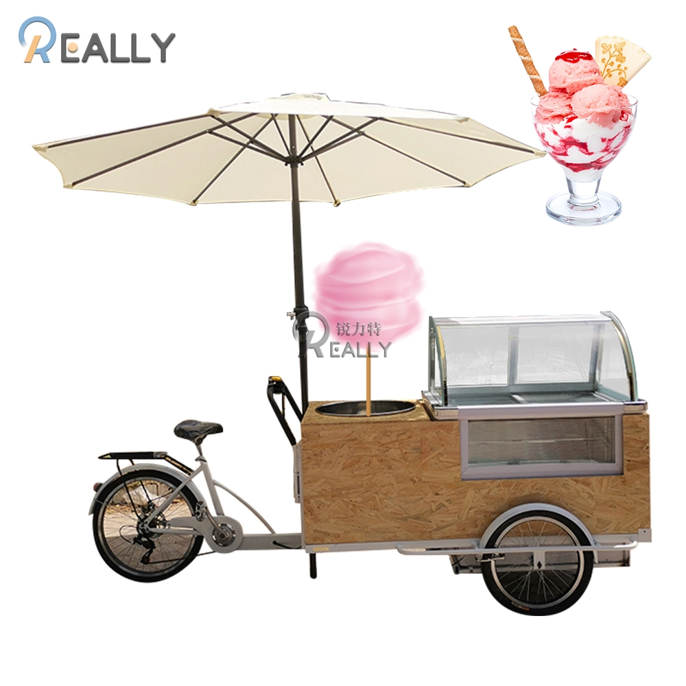 Commercial Europe Standard Europe Standard Mobile Food Kiosk Ice Cream Cargo Bike Adult Tricycle for Sale