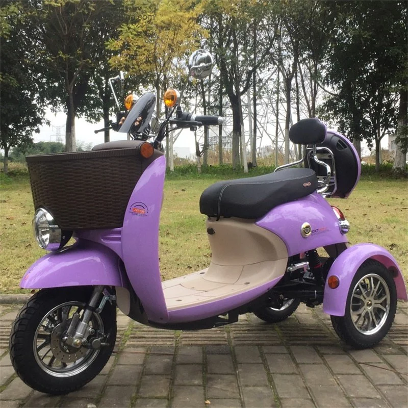 Wuxi Stanford 3 Wheel Electric Tricycle Adult Xg with Basket for Sale