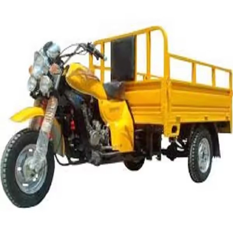 Tricycle Differential Motor Electric Tricycle Three Wheeler Cargo 1200W EEC Cargo Bike