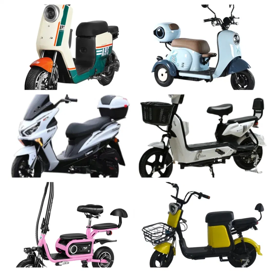 Factory Direct Sales of New Two Wheeled Electric Bicycles 350W Electric Bicycles Adult City Double Seater Electric Bicycles