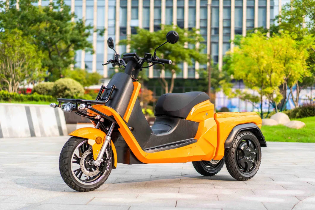 Hot Selling 3 Wheel Electric Tricycle Electric Delivery Trike 3 Wheel Motorcycle with EEC