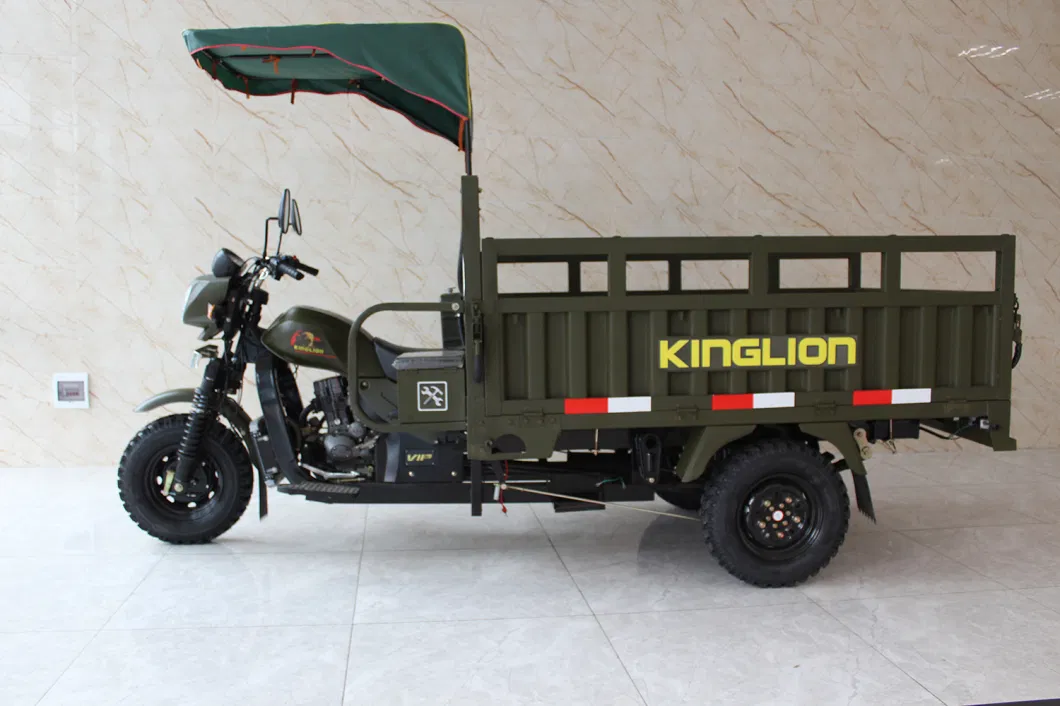 Self Dumping Function Three Wheel Motorized Cargo Tricycle for Burkina Faso