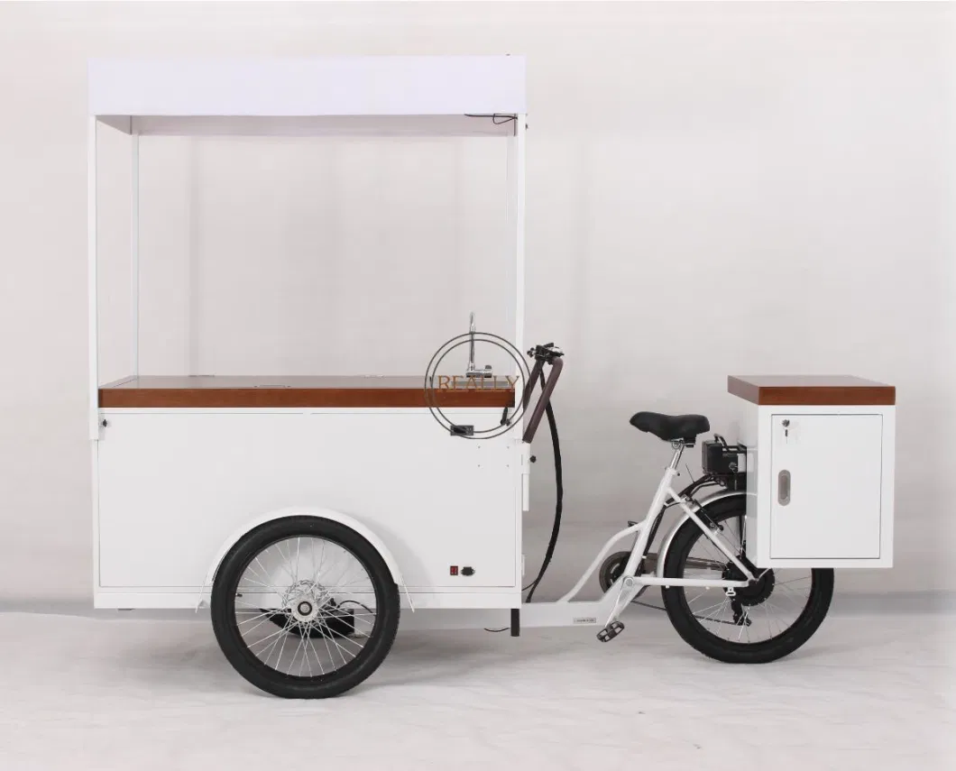 3 Wheel Ice Cream Freezer Trike Ice Cream Vending Bike with Refrigerator Summer Food Tricycle for Sale Cold Drinks