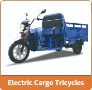 Jinpeng Electric Tricycle Adult E Trike E Tricycle for The Disabled Elderly