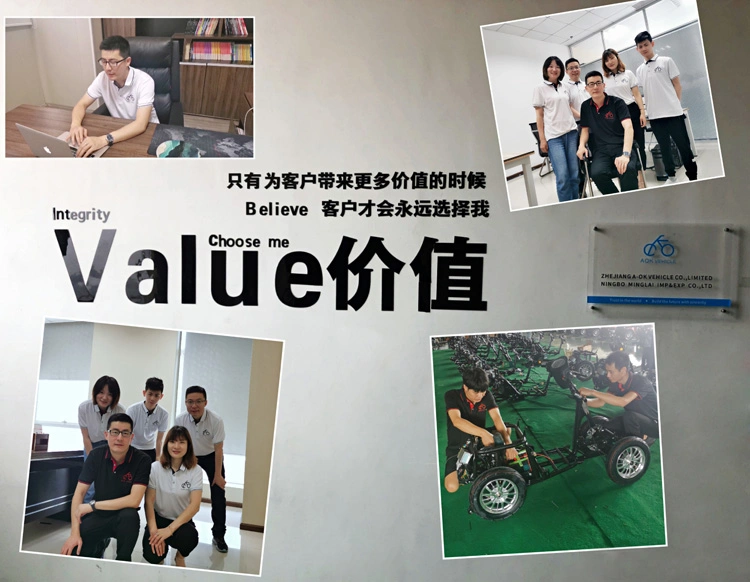 500W Electric Tricycle for Disabled People, 3 Wheel Electric Mobility Scooter From China