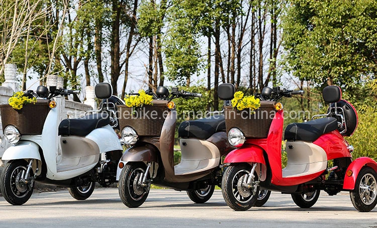 China New Arrival Electric Cabin 3 Wheel Tricycle Mobility Scooter for Sale