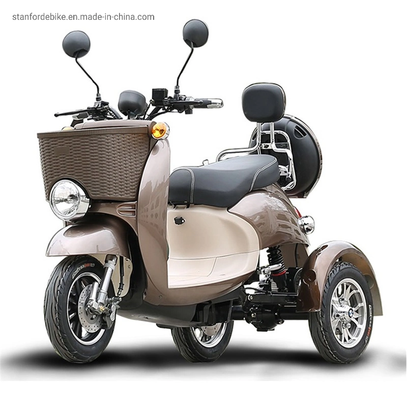 Hot Sell Electric Tricycle 1000W Three Wheel Xg with Basket for Adult