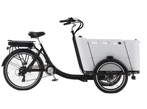 Chinese Three Wheel E Bakfiets Tricycle Electric Cargo Bike in Bicycle with Rain Cover for Sale