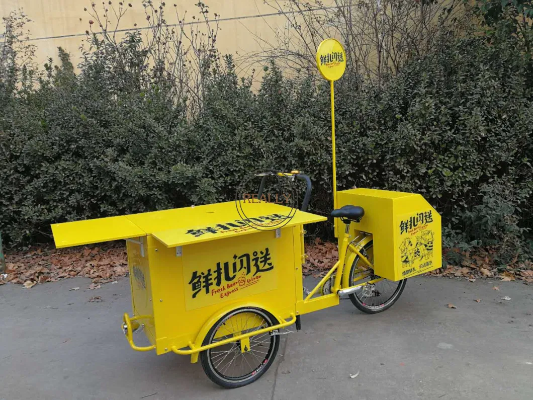 Electric 3 Wheel Beer Bike for Sale