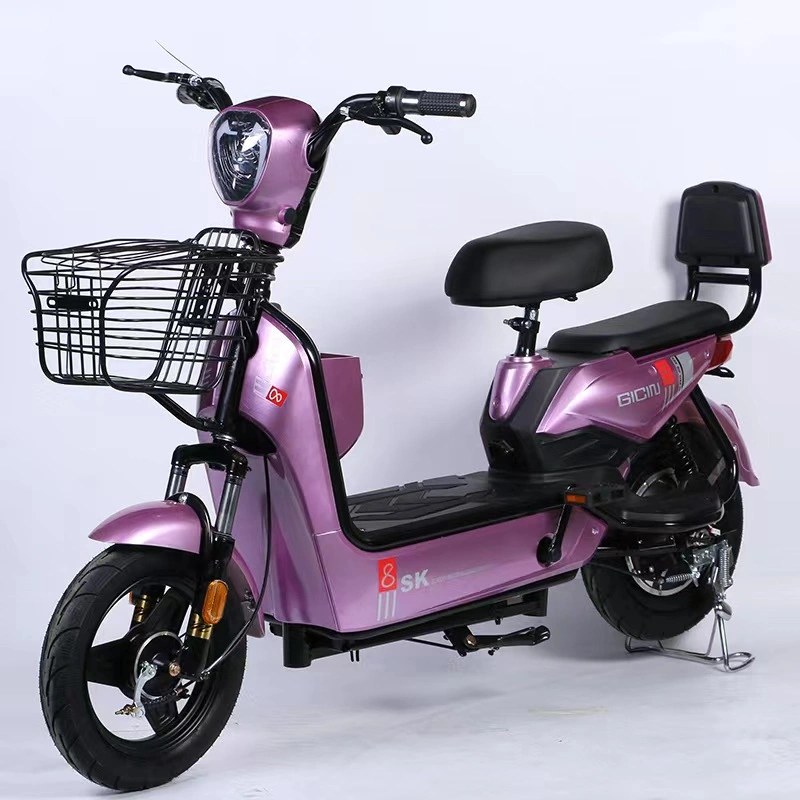 B2b Beach Rental Electric Three-Wheeled Bicycle Processing Factory OEM High Quality and Cheap Wholesale Price