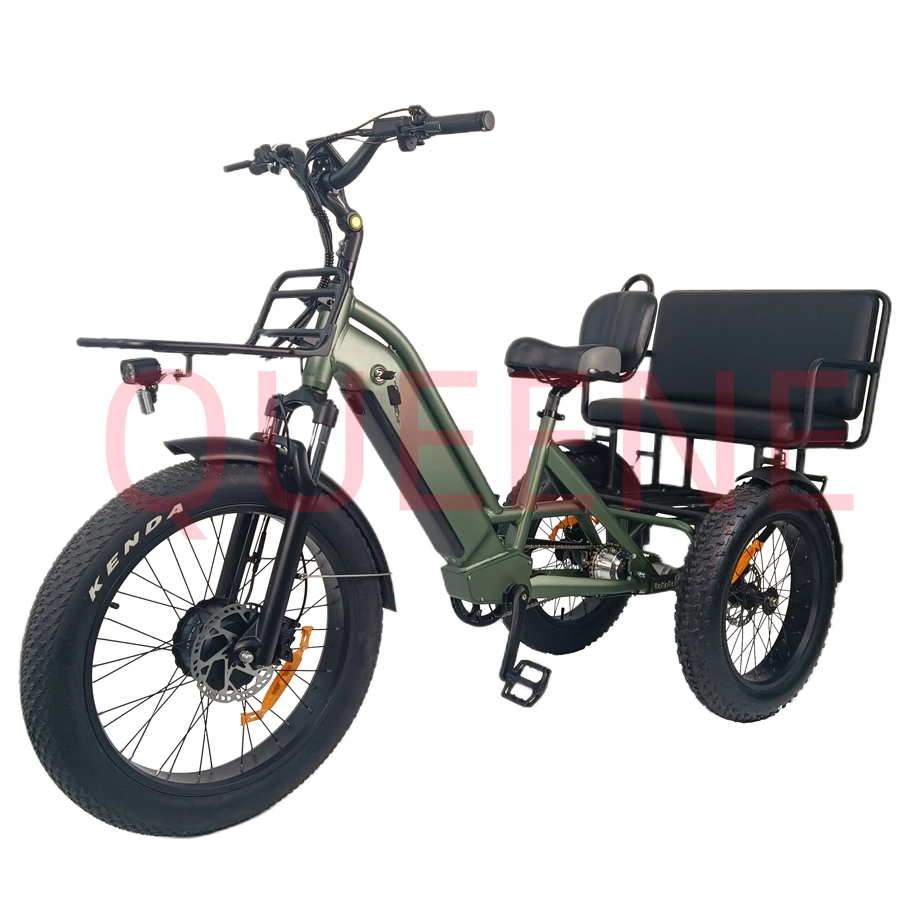 Queene/2023 New Model 24 Inch Fat Tire 3 Wheels Electric Tricycles for Adult Family Three Person 750W Electric Cargo Bike