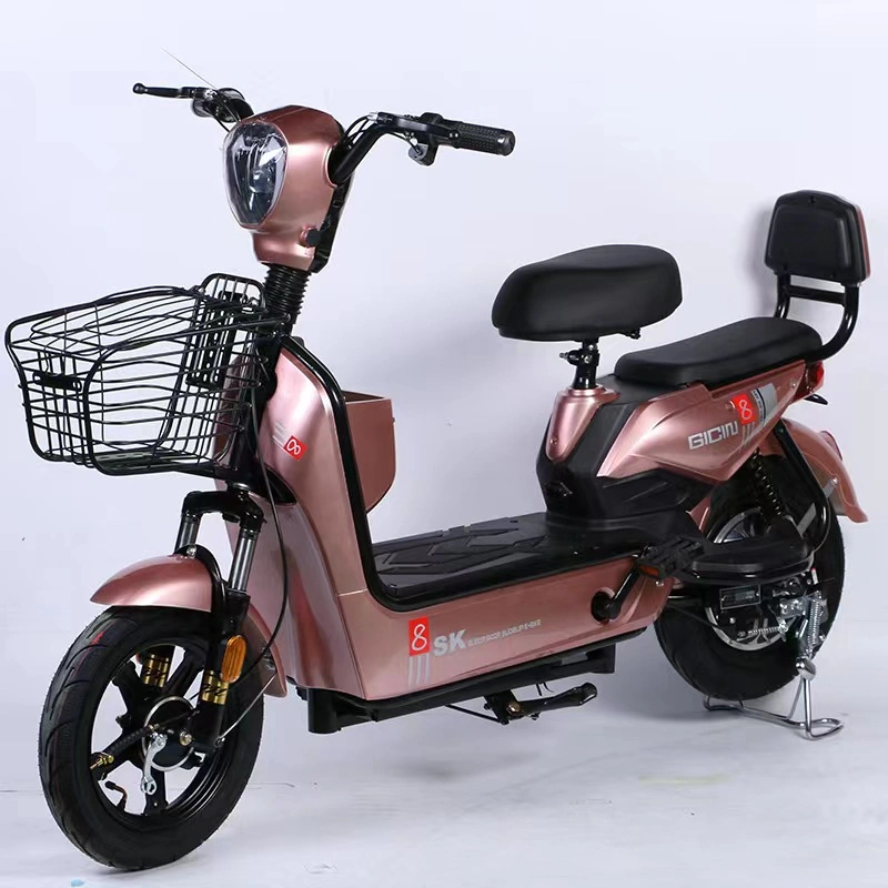 B2b Beach Rental Electric Three-Wheeled Bicycle Processing Factory OEM High Quality and Cheap Wholesale Price