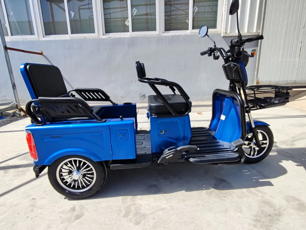 Best Offer EEC Coc Electric Tricycle with Foldable Seat Box for Passenger Elders for Europe