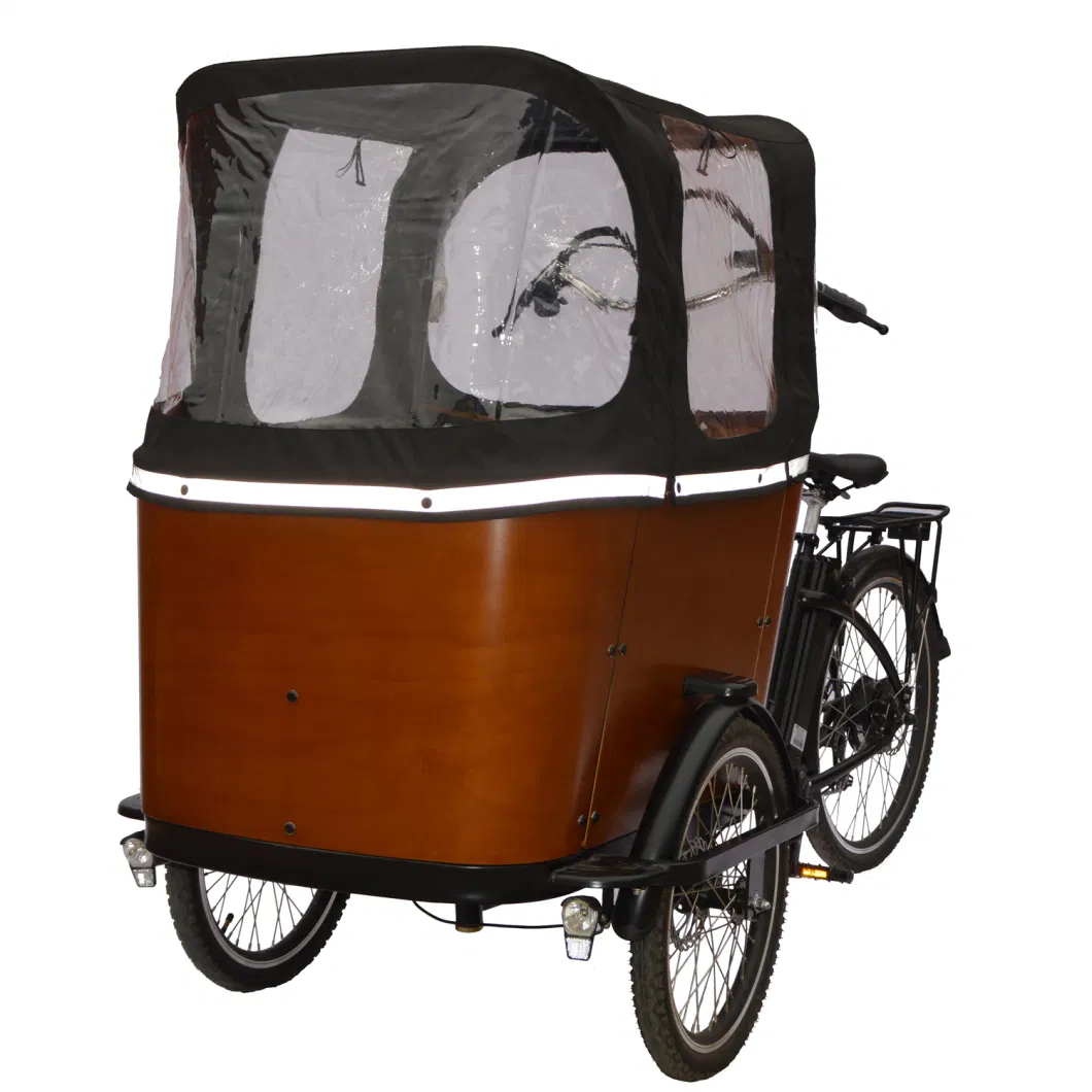 New Design 20/26 Inch Three Wheels Cargo Electric Tricycle E Cargo Bike for Adult