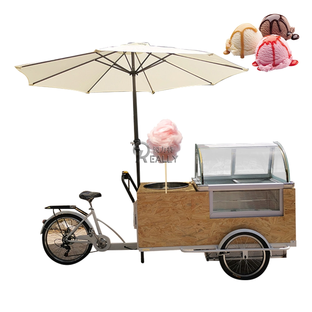 Commercial Europe Standard Europe Standard Mobile Food Kiosk Ice Cream Cargo Bike Adult Tricycle for Sale