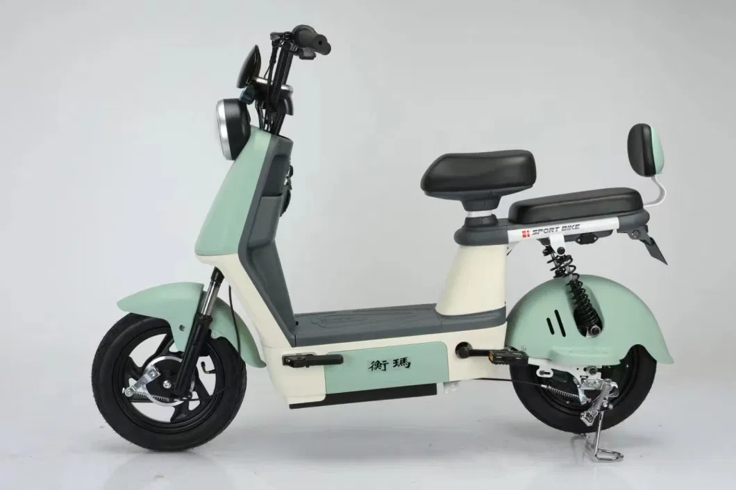 The Latest Electric Bike/Adult Two Wheeled Electric Scooter